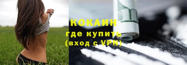 шишки Богородск