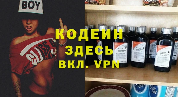 шишки Богородск