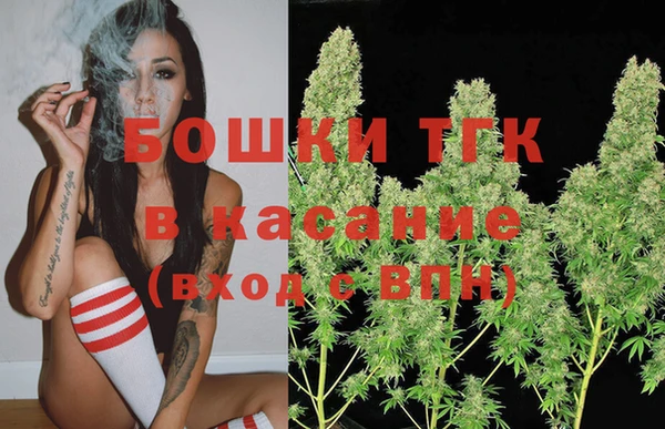 шишки Богородск