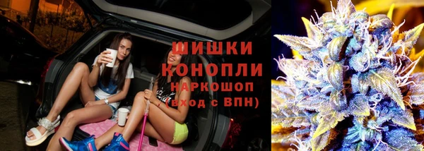 шишки Богородск