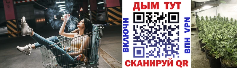 где можно купить   Великий Новгород  Марихуана Ganja 